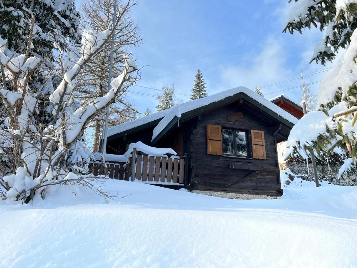 Entire Cozy Chalet In St-Cergue - 30 Min From Geneva Saint-Cergue Εξωτερικό φωτογραφία