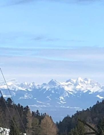 Entire Cozy Chalet In St-Cergue - 30 Min From Geneva Saint-Cergue Εξωτερικό φωτογραφία