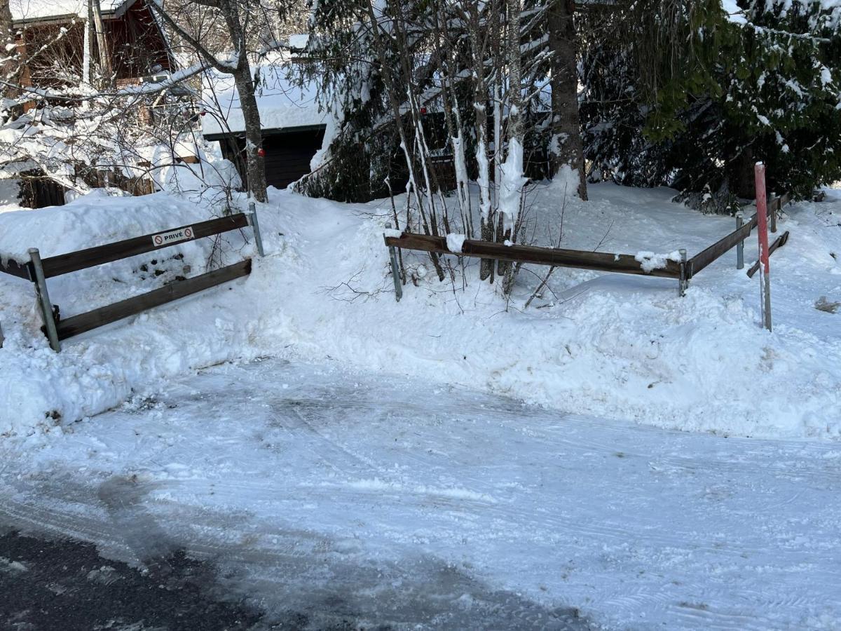 Entire Cozy Chalet In St-Cergue - 30 Min From Geneva Saint-Cergue Εξωτερικό φωτογραφία