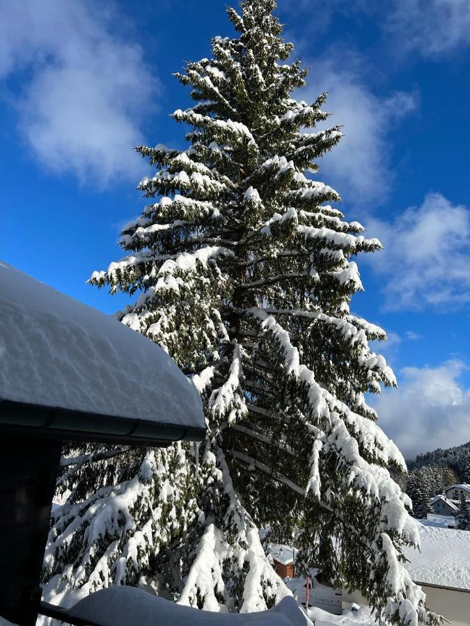 Entire Cozy Chalet In St-Cergue - 30 Min From Geneva Saint-Cergue Εξωτερικό φωτογραφία