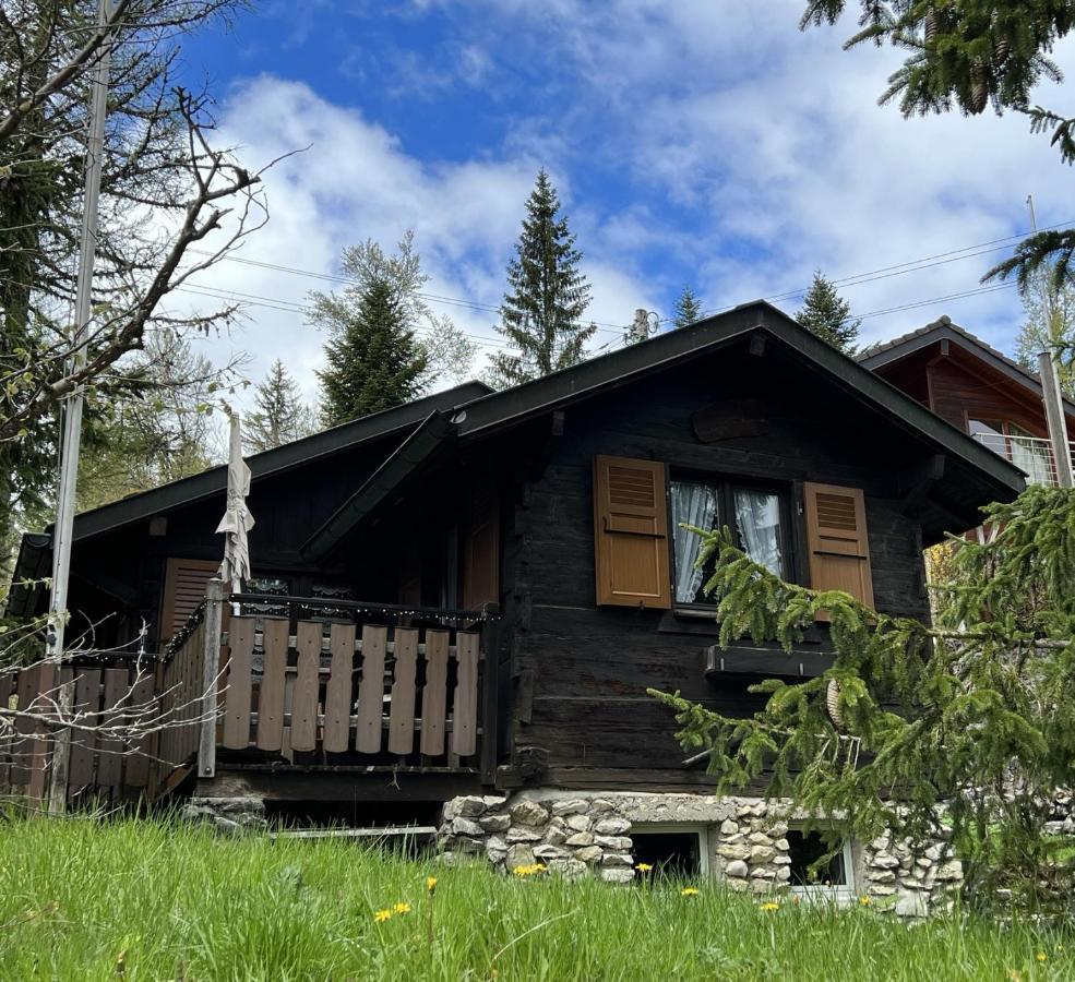 Entire Cozy Chalet In St-Cergue - 30 Min From Geneva Saint-Cergue Εξωτερικό φωτογραφία