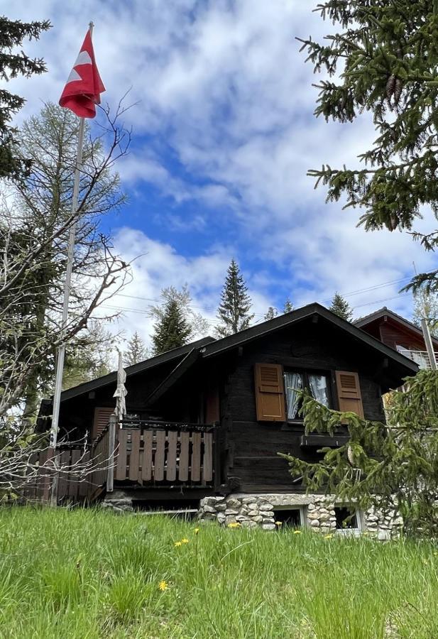 Entire Cozy Chalet In St-Cergue - 30 Min From Geneva Saint-Cergue Εξωτερικό φωτογραφία